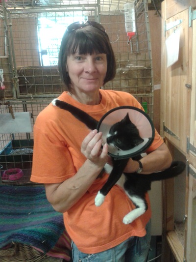 Volunteer holding black and white cat.
